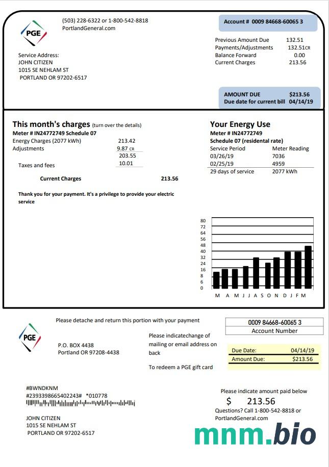 Szablon rachunku za energię elektryczną USA Oregon PGE w formacie Word i PDF